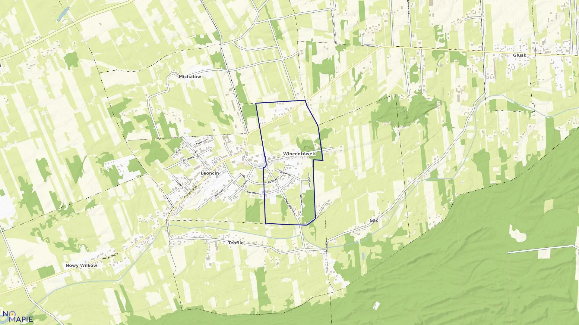 Mapa obrębu WINCENTÓWEK w gminie Leoncin